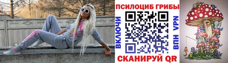 Галлюциногенные грибы мицелий  где продают   Бабушкин 